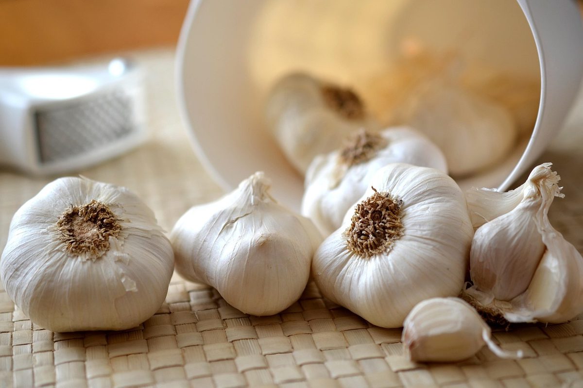 Hand-selected garlic bulbs — farm-fresh, hygienically processed