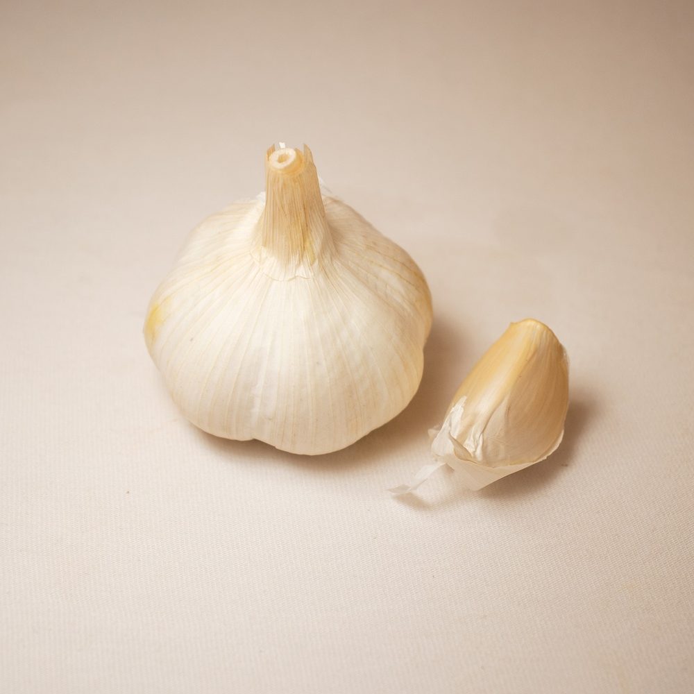 Premium garlic bulb — quality-first processing by Sankalp Organic Agro